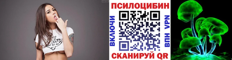 купить   Заволжск  Галлюциногенные грибы Cubensis 